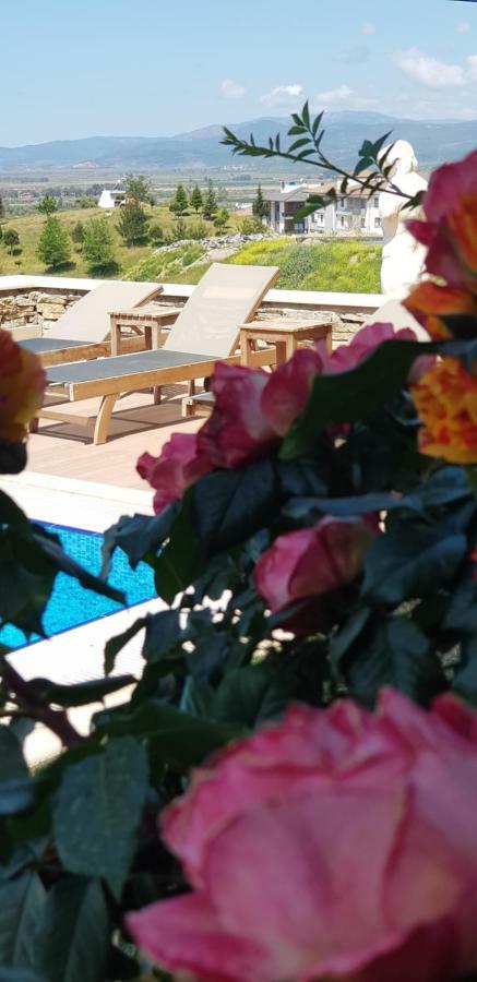 Vinifera Ephesus Hotel Selcuk Exterior photo